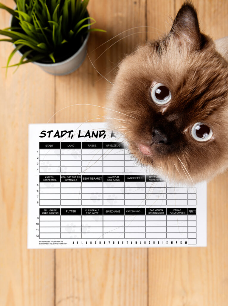 stadt land katze spiel für Katzenliebhaber