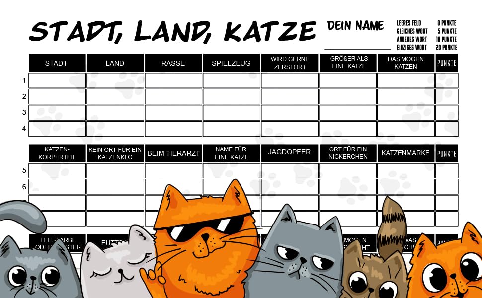 Stadt Land Katze Spiel für Katzenliebhaber